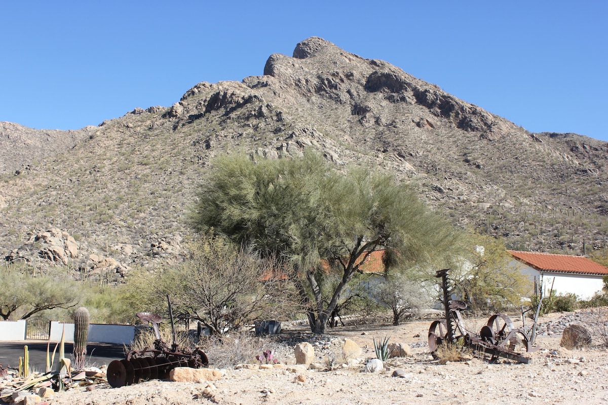 Guest house at the base of Pusch Ridge Mountain