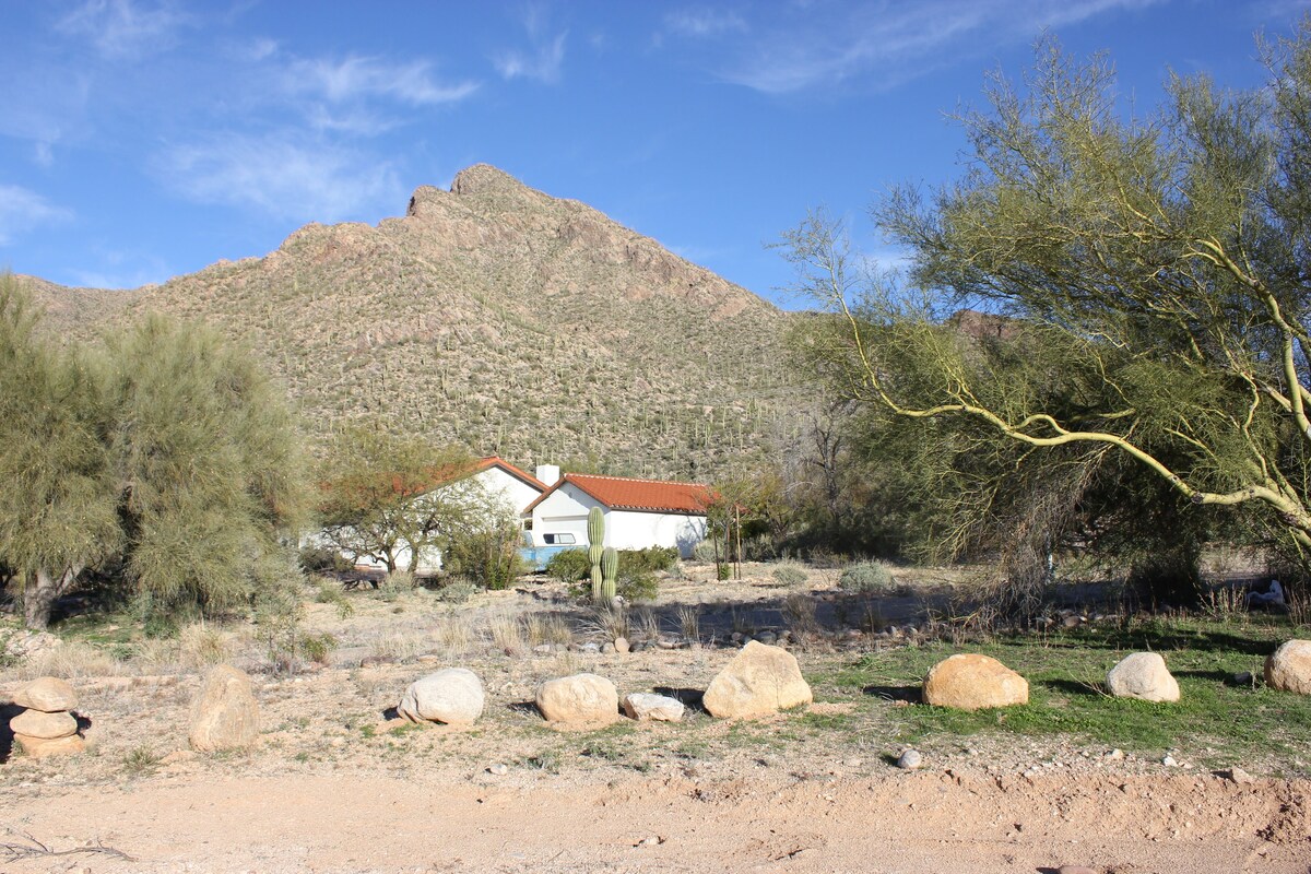 Main Image