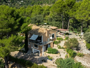 Plante, Fenêtre, Communauté Des Plantes, Arbre, Bâtiment, Paysage Naturel, Chalet, Bois, Lot Terre, Maison