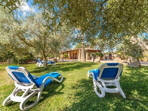 Plant, Furniture, Plant Community, Motor Vehicle, Chair, Tree, Blue, Green, Folding Chair, Outdoor Furniture