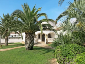 Plante, Ciel, Propriété, Communauté Des Plantes, Fenêtre, Bâtiment, Feuille, Arbre, Terrestre Des Plantes, Maison