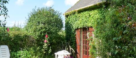 Plant, Cloud, Flower, Property, Sky, Building, Flowerpot, Window, Green, Chair