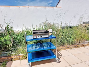 Garden, Houseplant, Stove, Backyard