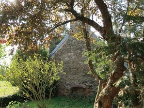 Plante, Communauté Des Plantes, Paysage Naturel, Brindille, Tronc, Bâtiment, Ombre, Maison, Arbre, Terrestre Des Plantes