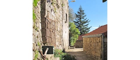 Planta, Propiedad, Cielo, Azur, Vegetación, Madera, Árbol, Biome, Barrio, Área Rural