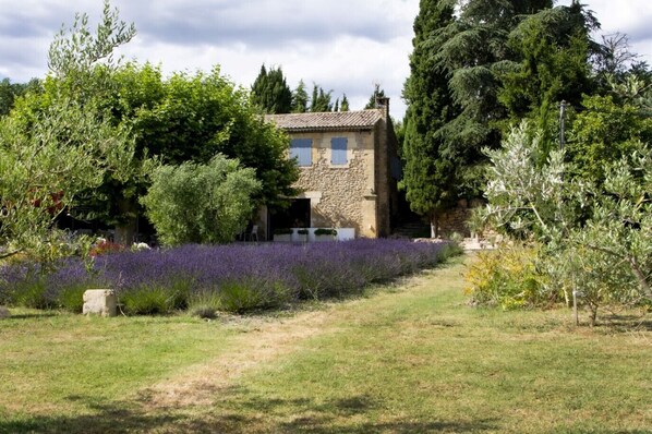 Holiday rental SALON DE PROVENCE farmhouse to rent luxury