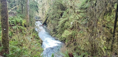  Lake and Mountain View, Explore nature in the Olympic National Park