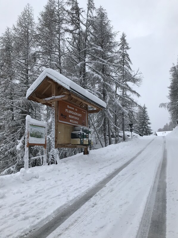 Snow and ski sports