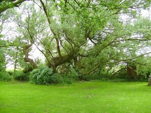 Garten bei der Pension