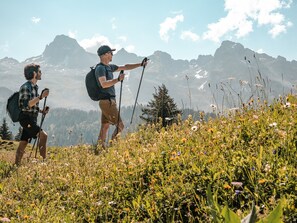 rando-2-p-guilbaud-le-grand-bornand-tourisme-3082529