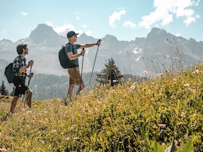 rando-2-p-guilbaud-le-grand-bornand-tourisme-3082526