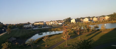 The lovely view from every window in the front house.  Natural trails all around