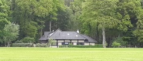 Udendørsområde