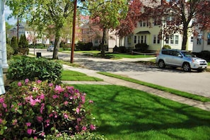 The Neighborhood (facing north)