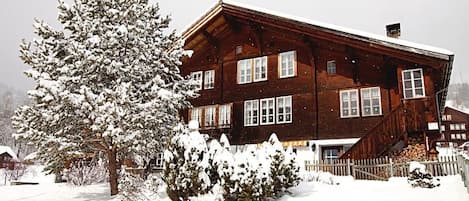 Chalet Winter