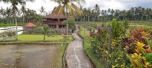 Pathway leading to the villa