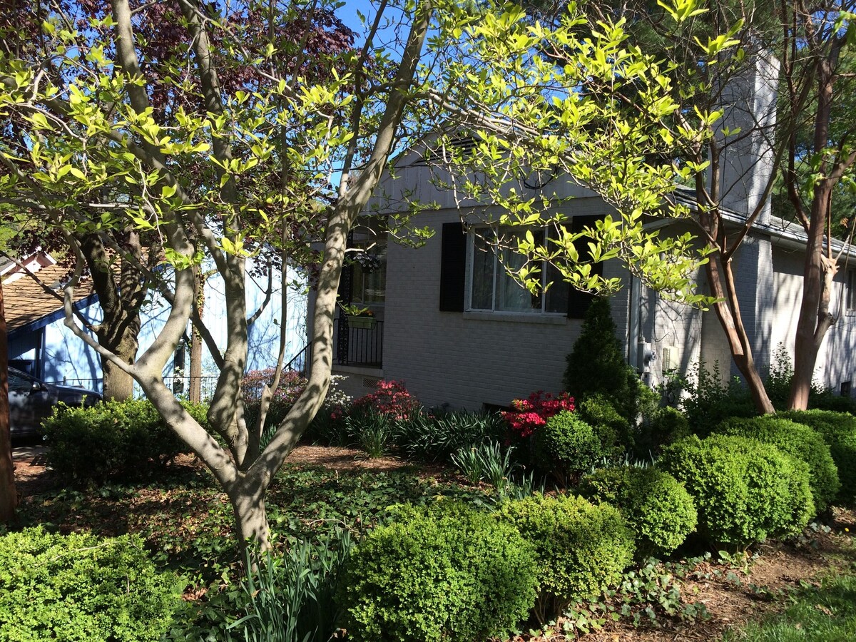 Beautiful house in a historic Maywood, located in DC/N-VA, accommodate 6 guests