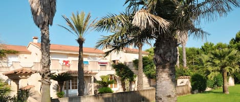 Proprietà, Albero, Palma, Arecales, Costruzione, Casa, Estate, Immobiliare, Casa, Hacienda