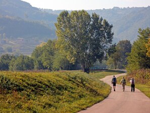 Tree, Green, Leaf, Grass, Natural Landscape, Vegetation, Road, Grassland, Trail