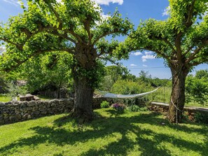 Baum, Blatt, Ast, Vegetation, Kofferraum, Garten, Schatten, Frühling, Gehölz, Rasen