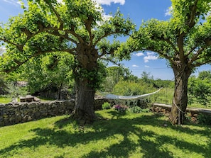 Baum, Blatt, Ast, Vegetation, Kofferraum, Garten, Schatten, Frühling, Gehölz, Rasen