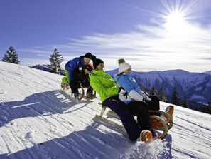 Wintersport/Ski