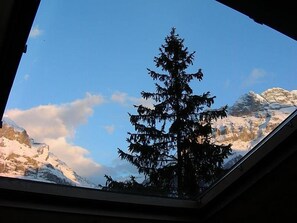 Blick aus dem Dachfenster