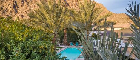 Welcome to our outdoor oasis with 10' deep pool, spa, hot tub and fruit trees.