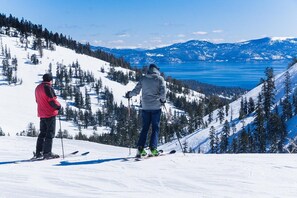 Sneeuw- en skisporten