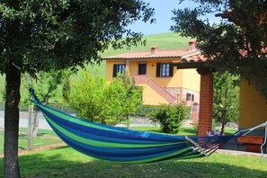 Plant, Building, Vehicle, Window, Boat, Boats And Boating--Equipment And Supplies, Tree, Watercraft, Azure, Shade