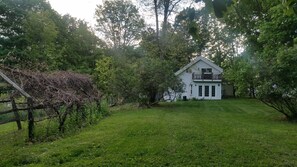 grape arbor, early spring
