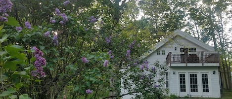 front of house with lilacs