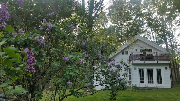 front of house with lilacs