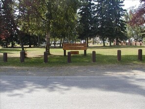 Roosevelt Park Nearly in our Front Yard