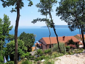 Plante, Ciel, L'Eau, Communauté Des Plantes, Écorégion, Fenêtre, Bâtiment, Feuille, Bleu Azur, Arbre