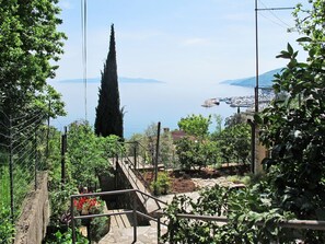 Vegetation, Baum, Botanik, Pflanze, Haus, Garten, Die Architektur, Tourismus, Pflanzengemeinschaft, Urlaub
