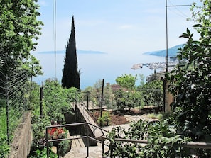 Végétation, Arbre, Botanique, Plante, Maison, Jardin, Architecture, Tourisme, Communauté Des Plantes, Vacances