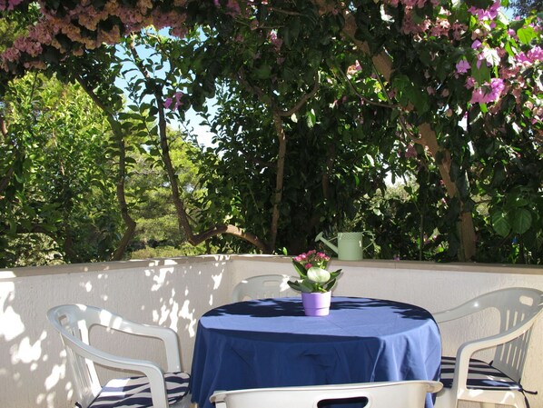 Table, Flower, Furniture, Property, Plant, Chair, Tableware, Outdoor Furniture, Interior Design, Shade