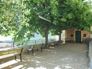 Building, Outdoor Bench, Leaf, Shade, Water, Road Surface, Plant, Tree, Window, Biome