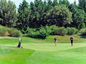 Plant, Golf Club, Green, Sports Equipment, Tree, Natural Environment