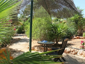 Plant, Property, Plant Community, Leaf, Nature, Tree, Vegetation, Terrestrial Plant, Arecales, Shade