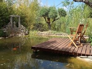 L'Eau, Plante, Ressources En Eau, Ciel, La Nature, Paysage Naturel, Botanique, Arbre, Lac, Biome