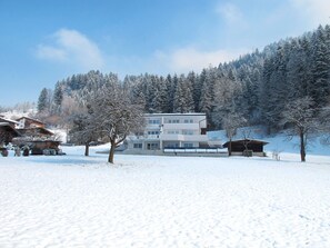 Snow, Winter, Sky, Freezing, Tree, Mountain, Cloud, Hill Station, Alps, Home
