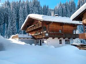 Bâtiment, Ciel, Neige, Arbre, Maison, Pente, Bois, Branche, Fenêtre, Gelé