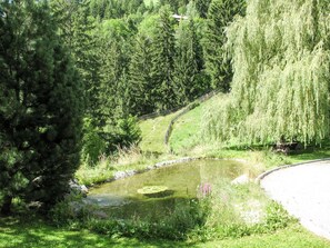 Pflanze, Wasser, Wasservorräte, Pflanzengemeinschaft, Natürliche Landschaft, Lärche, Wasserlauf, Baum, Bank