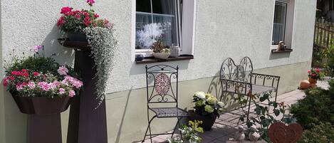 Plant, Building, Flower, Window, Flowerpot, House, Houseplant, Door, Cottage