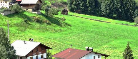 Plante, Propriété, Bâtiment, Vert, Paysage Naturel, La Nature, Arbre, Montagnes, Maison, Végétation