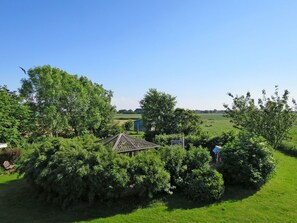 Pflanze, Himmel, Pflanzengemeinschaft, Natürliche Landschaft, Grundstueck, Baum, Gras, Hecke, Ground, Landschaft
