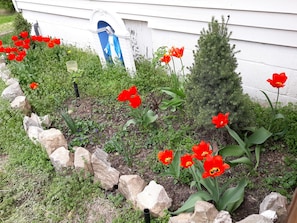 front flowerbed