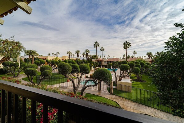 View from the patio 